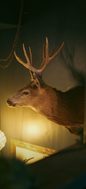 Antler Table Lamp