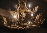 Antler Chandelier